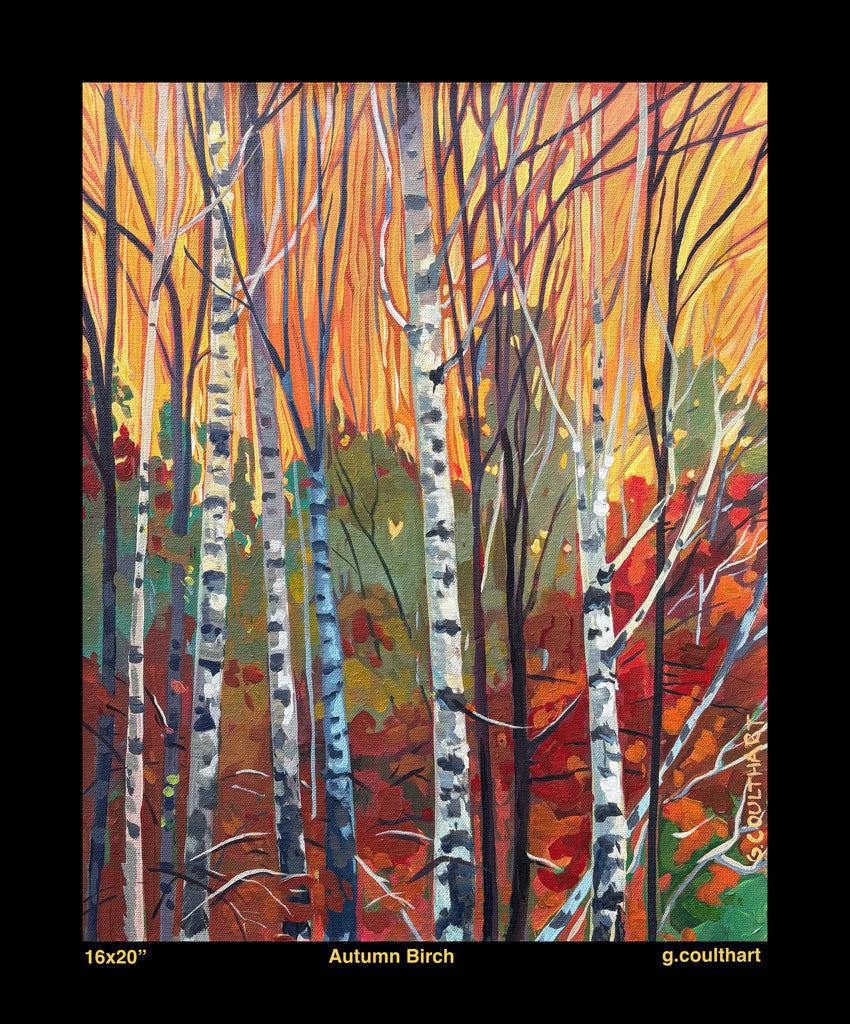Autumn Birch 16x20