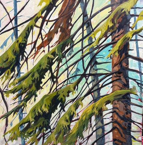 Spruce air 20x20