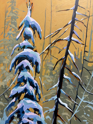 snow spuce 12x9