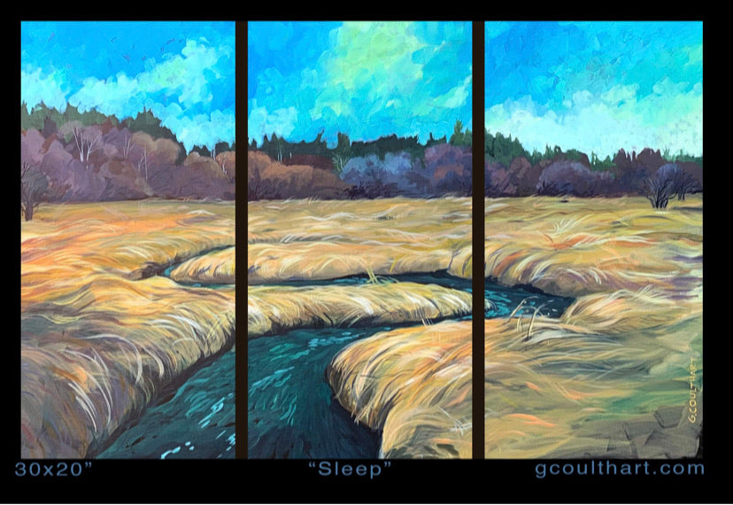 Sleep